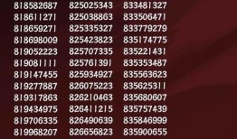 二周年最新爆料新闻,最新爆料带你领略精彩瞬间